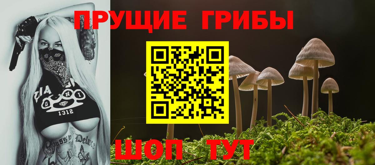 Псилоцибиновые грибы ЛСД Евпатория